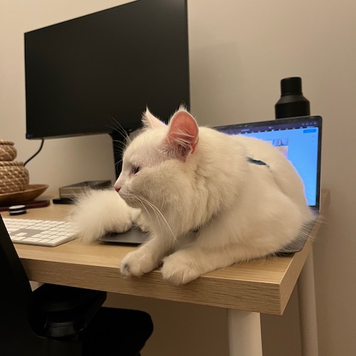 Derek Kedziora Derek Kedziora with a friendly smile